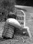 Highlight for Album: Dans le Nord-Vietnam