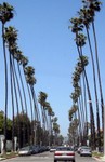 Los Angels