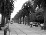 Highlight for Album: La ville de San Francisco