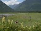 Bella Coola - Estran