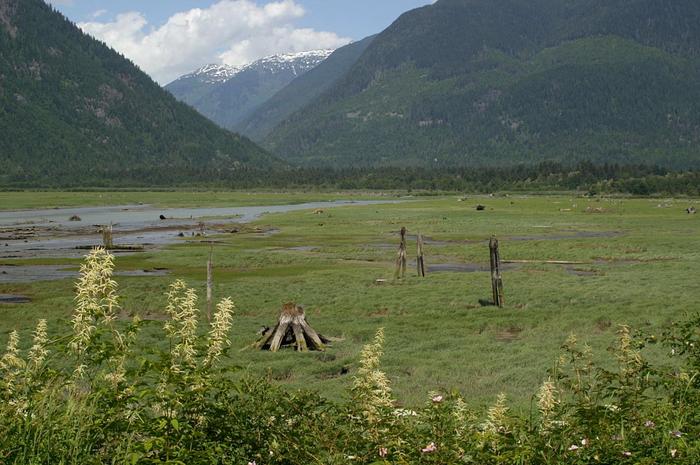 Bella Coola - Estran