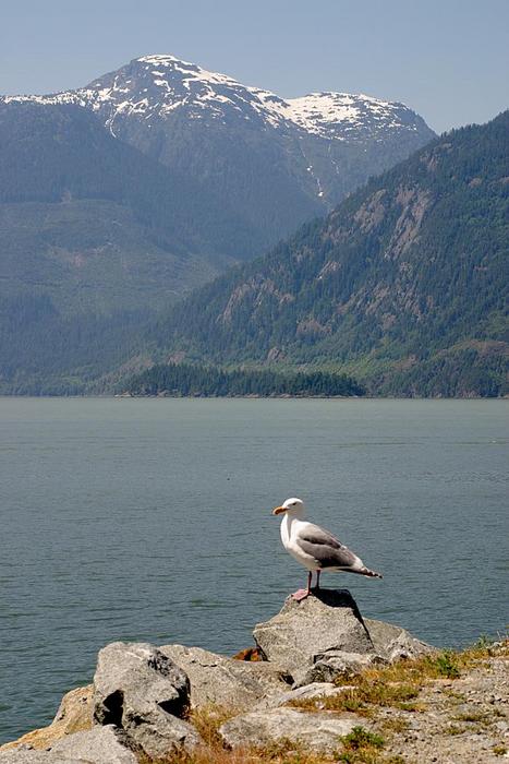 Squamish - Fjord