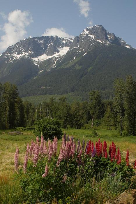 Stuie - Melikan Mountain