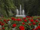 Victoria - The Butchart Gardens