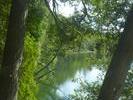 Crawford Lake Arbres-PS-8-bits