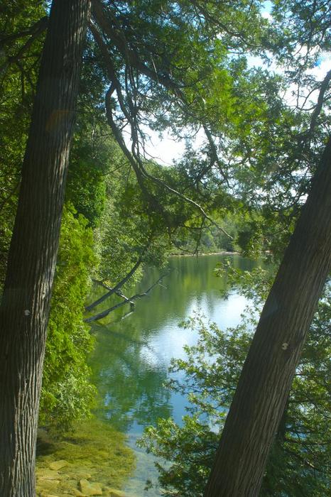 Crawford Lake Arbres-PS-8-bits