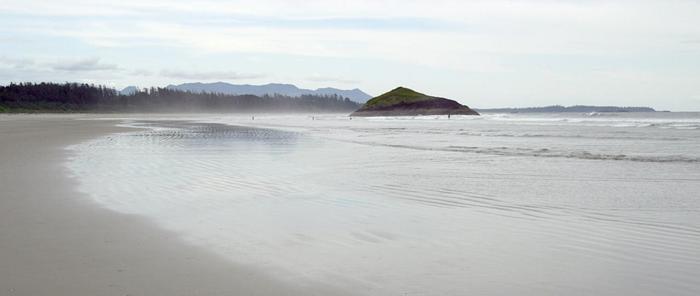 Pacific Rim national park - Brume du matin