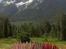 Stuie - Melikan Mountain
