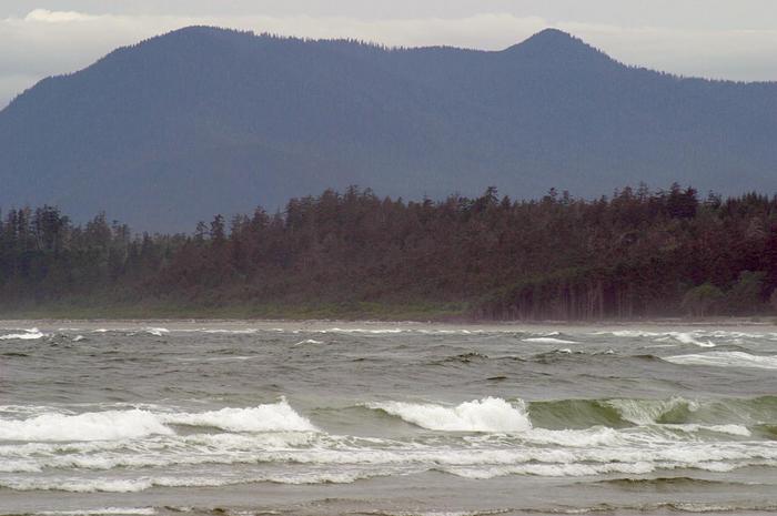 Ucluelet - Ocean Pacifique