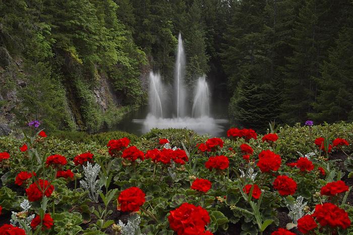 Victoria - The Butchart Gardens