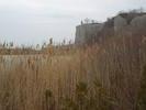 Scarborough Bluffs