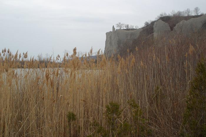 Scarborough Bluffs